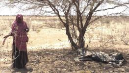Pastoral communities in Ethiopia's Somali region fear for their future amid severe drought