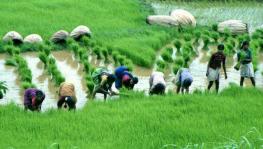Maha: Battle Between Two Departments Deprive 8 Lakh Farmers of PM Kisan Scheme 
