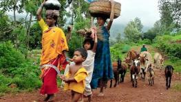  Are over 1,10,000 Adivasis & Forest Dwellers at risk of eviction and loss of livelihood?
