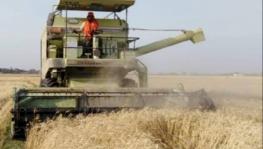 Bihar's Farmers Upset Over Rising Diesel Prices as Cost of Mechanised Harvesting Increased