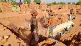 Migrant labourers load bricks on a truck at a brick kiln. 