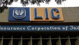 Flop Show? Govt Blames Weak LIC Listing on ‘Unpredictable Market Conditions’