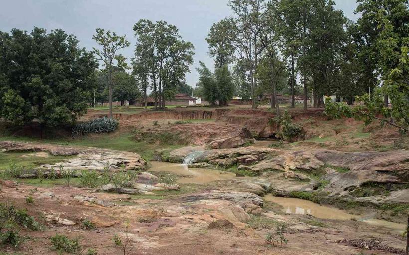 Hasdeo Aranya Forest: Investigation Reveals Illegal Acquisition of Land by Adani Group Hasdeo Aranya Forest: Investigation Reveals Illegal Acquisition of Land by Adani Group