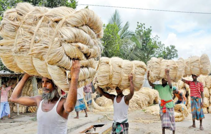 COVID19 Jute Growers Make a Tidy Sum While Mill Workers Suffer in Bengal NewsClick