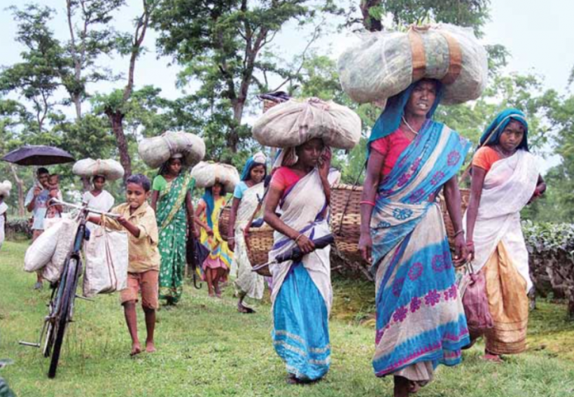 Adivasi Adivasi