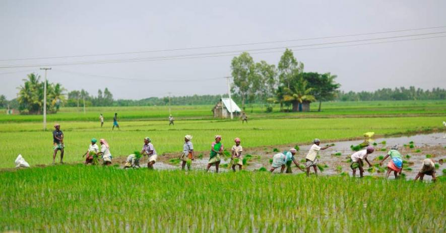 Agricultural