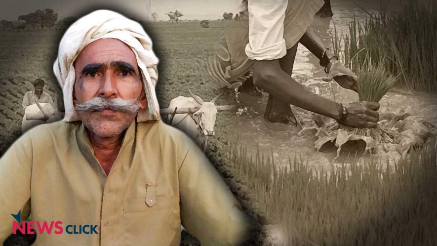 Lives of Peasants in India #7 | NewsClick