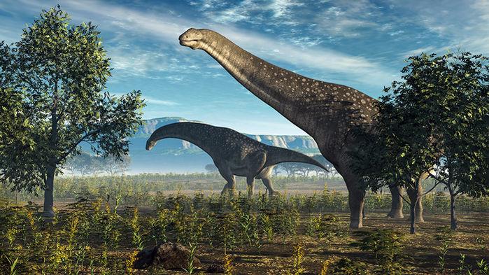 Dinosaurs