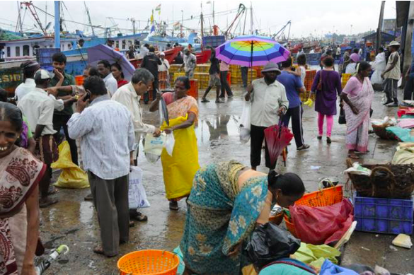 Mangaluru Fishing Harbour Phase III Project