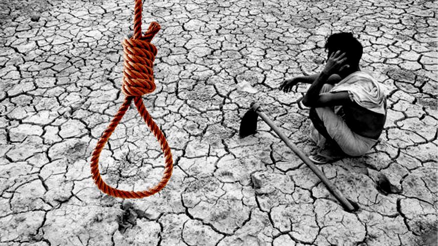 Farmers suicides in India