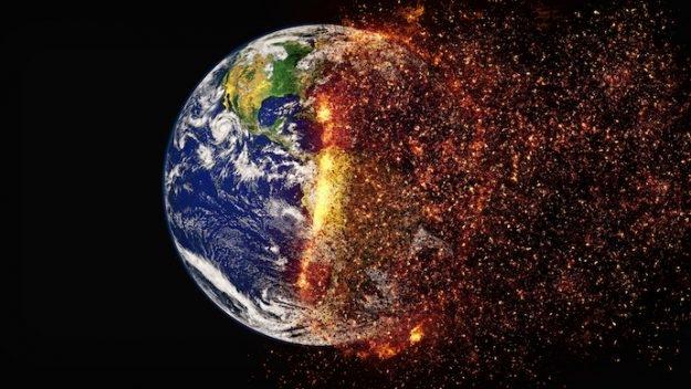 Climate Change and Trees 