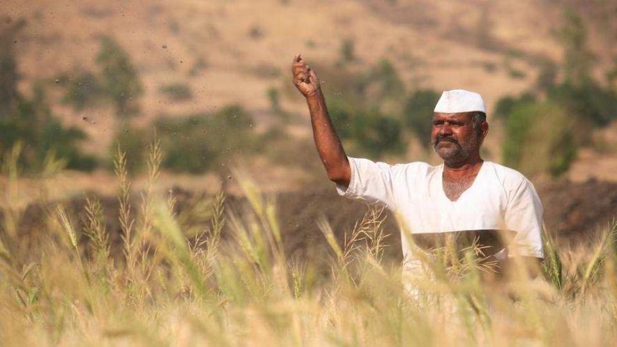 Maharashtra Farmers 