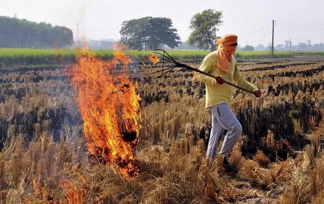 Burning Stubble