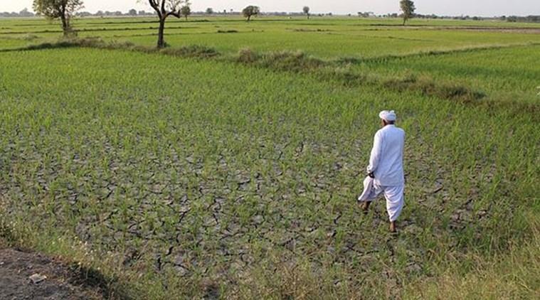Caste Stranglehold in Agriculture
