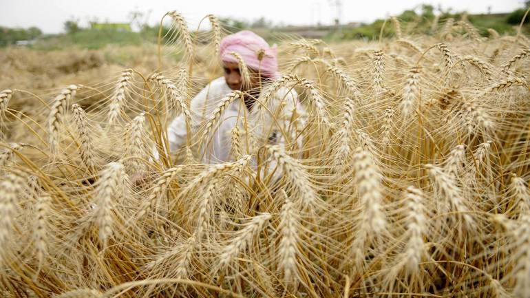 farm loan waivers MP