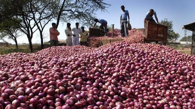Onion farmers