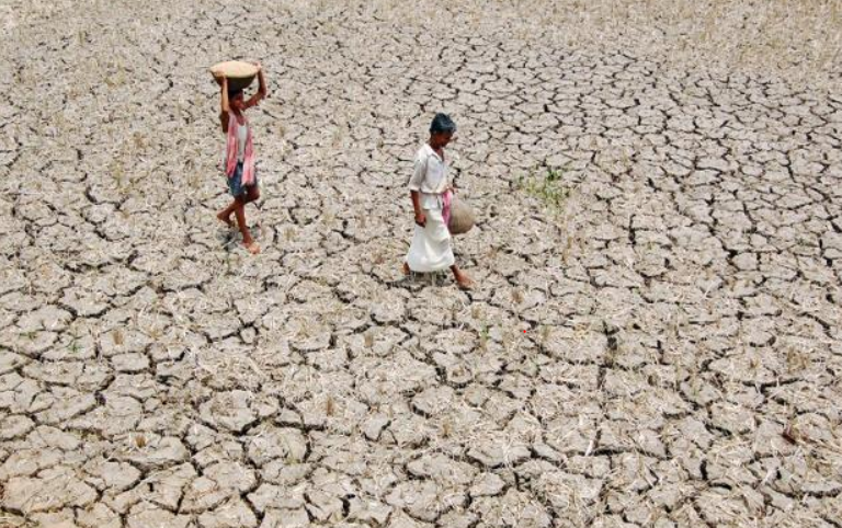 #MahaDrought: Farmers Commit Suicide, Families Struggle to Find Way out
