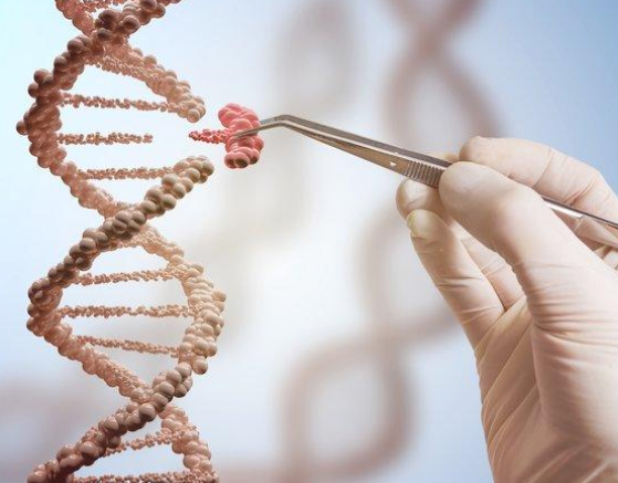 CRISPR Technology in Medicine