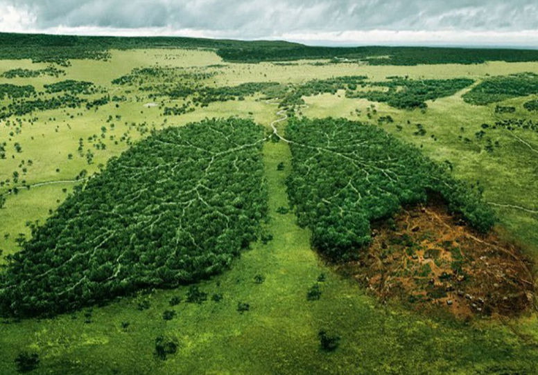 FAO Report Rings Warning Bell on Loss of Biodiversity Biology Diagrams