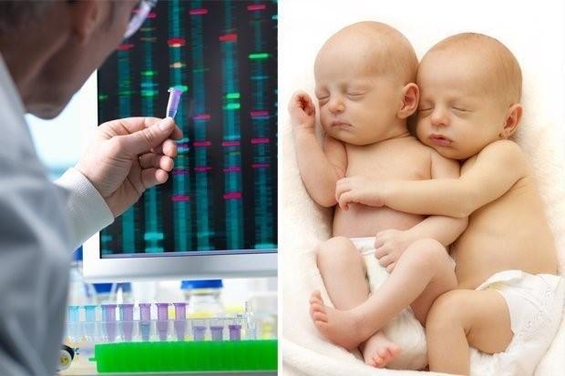 Gene-edited babies