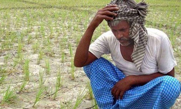 North Karnataka Farmers