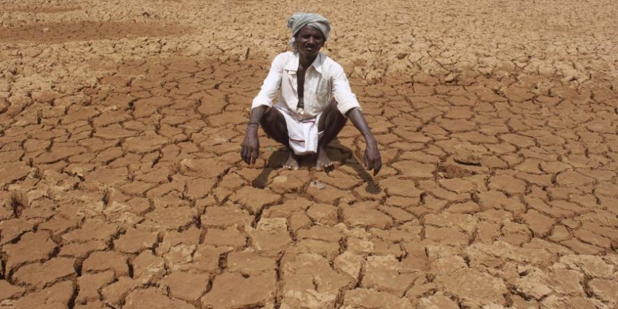 Farmers’ suicides