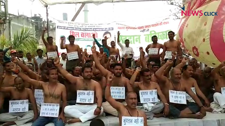 Sugar Mill Workers in Basti’s