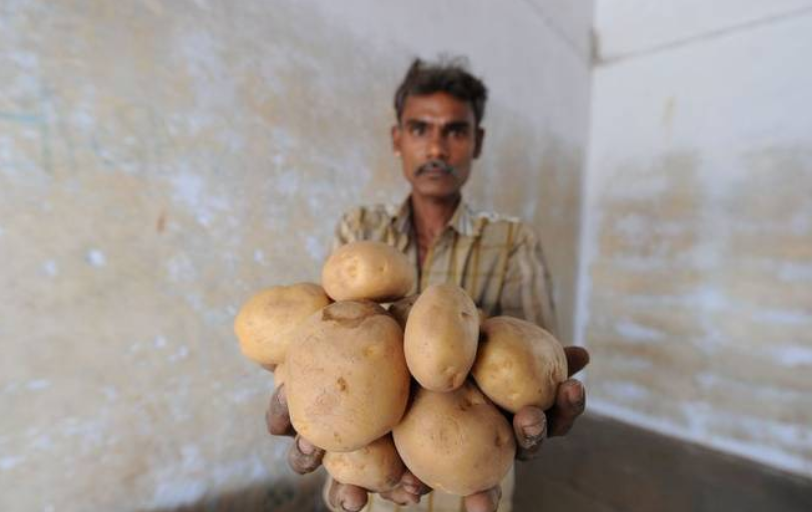Against Gujarat Potato Farmers