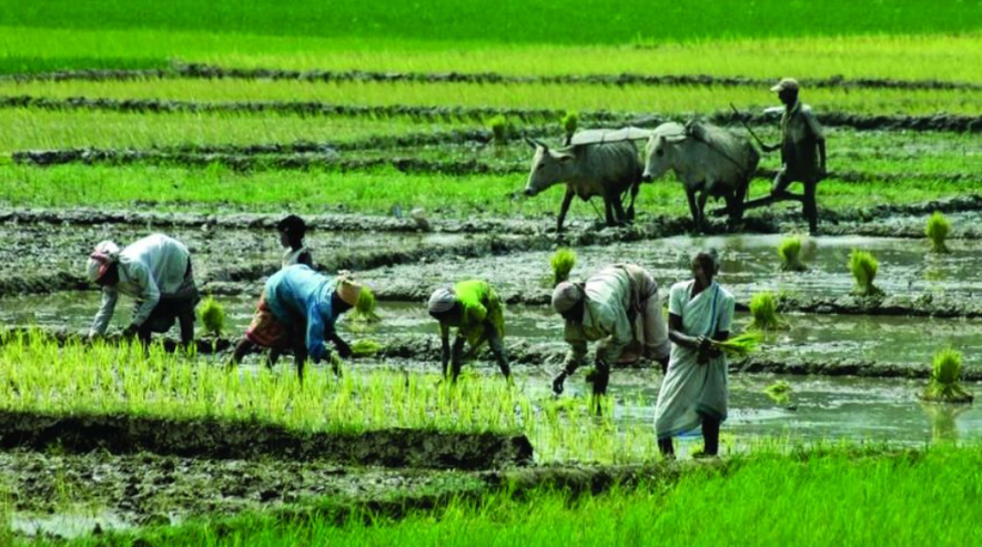 How Land Reforms by the Left Empowered