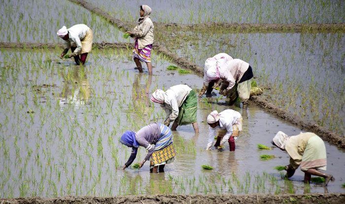 Is Loan Waiver Scheme the Solution for Karnataka Farmers’ Plight?