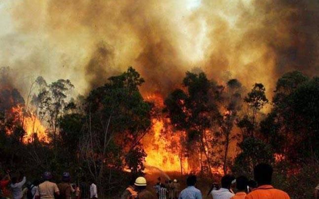Forest Fires Rage in Himachal, Uttarakhand