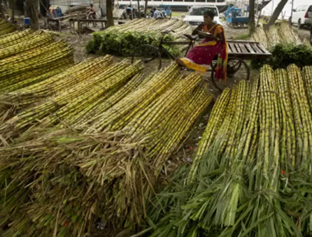 Sugarcane Juice: UP Govt’s Solution for Arrears Worth Rs 19,000 Crore?