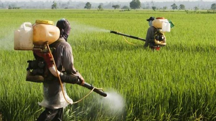Brazil approved more new pesticides