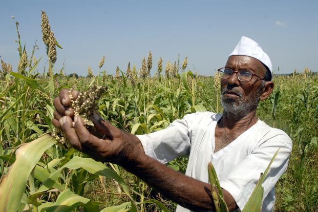 Crop Loans in Maharashtra: Standoff Between Govt and Banks Affects Farmers?