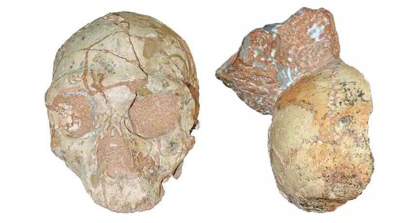 How Old Could Homo Sapiens be Outside of Africa?