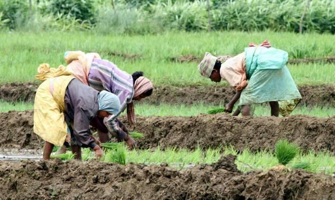 Sops for Farmers: Is Yeddyurappa on Same Jumla Track as Modi?
