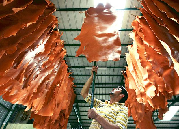 Adityanath Orders To Restart Kanpur Leather Industry, Tannery Owners Skeptical