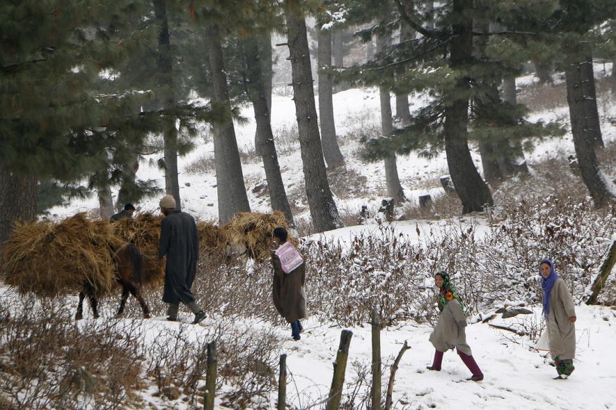 Kashmir