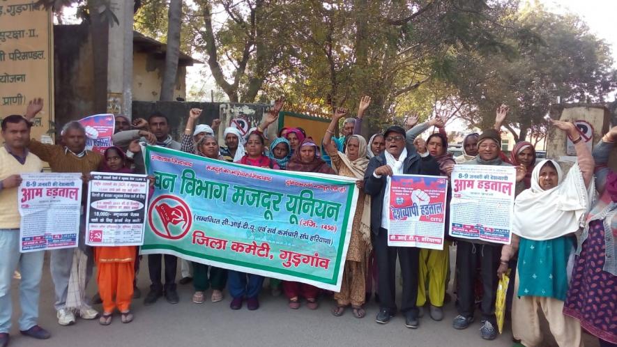 Haryana:  Forest Labourers  Struggling