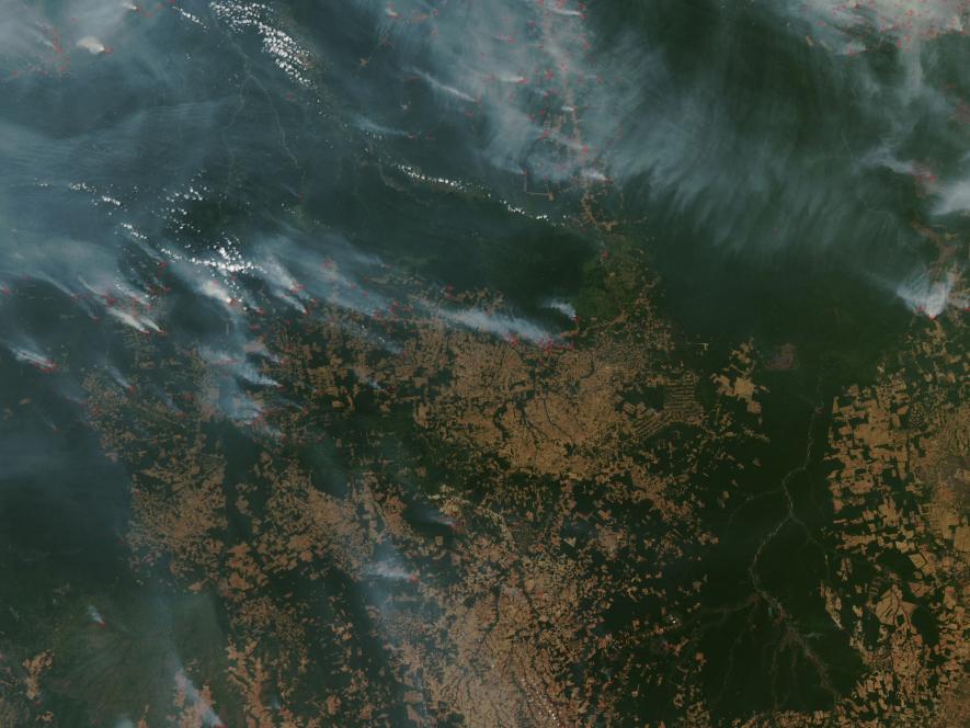 Amazon Forest Burning