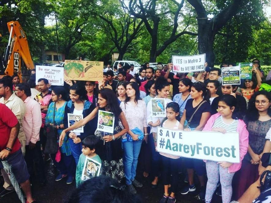 Aarey Forests