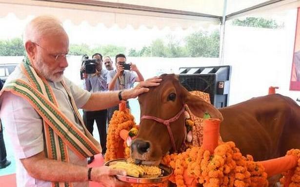 Modi and Cow 
