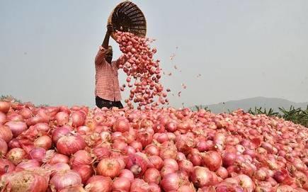 Sky-High Onion Prices