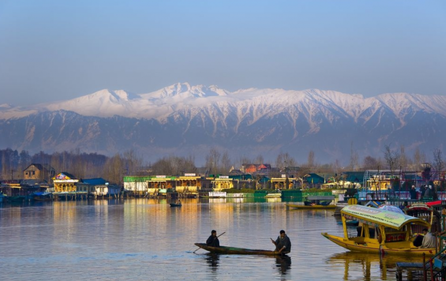 Article 370: Several Kashmiri Pandits