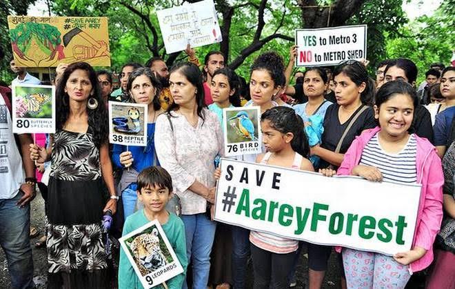 Bombay HC Declines Forest Tag for Aarey, Refuses to Stop Felling of 2,600 Trees
