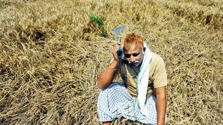 Karnataka Flood Relief Funds: Farmers Suffer Due to Lack of Crop Loss Compensation