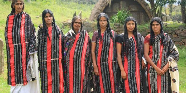 Tamil Nadu: Nilgiri Tribes Relocated Without Proper Compensation