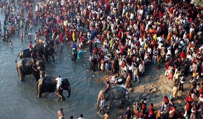 Sonepur Animal Fair