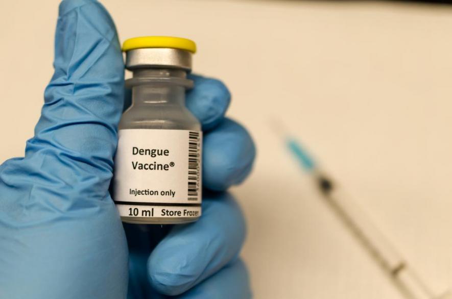 New Dengue Vaccine Claims