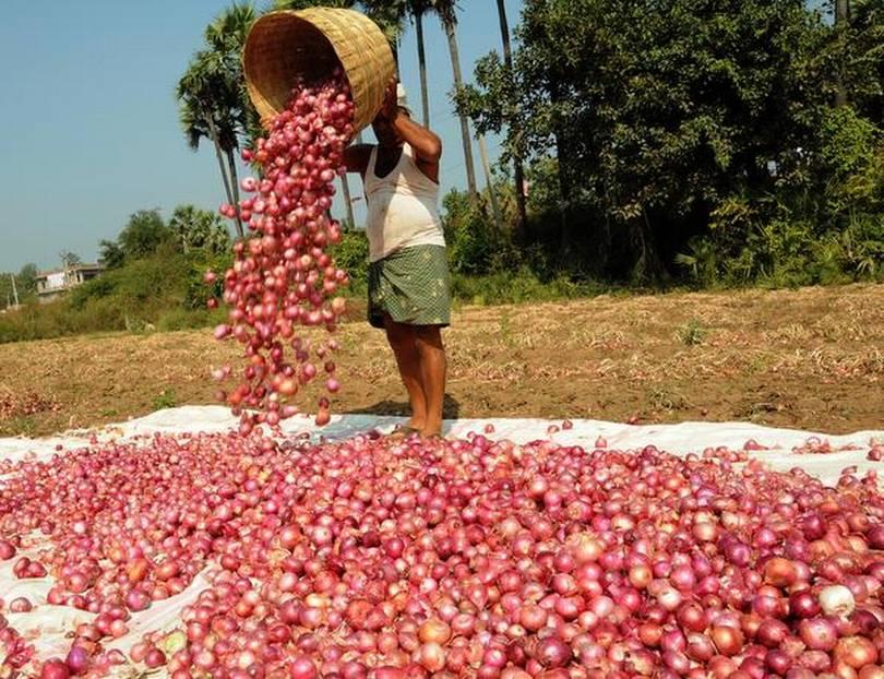 Households Feel the Pinch as Onion, Vegetable Prices Soar in Bihar